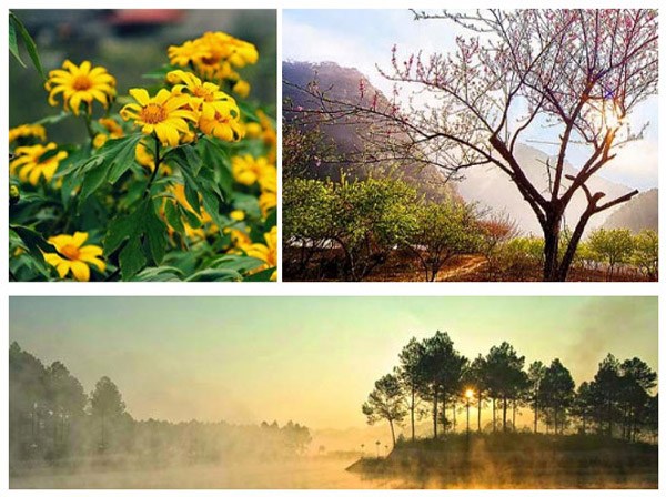Cảnh Đẹp Hút Hồn Ở Mộc Châu - Sơn La
