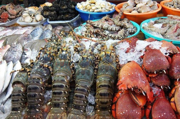 Hải sản tươi sống tại biển Sầm Sơn
