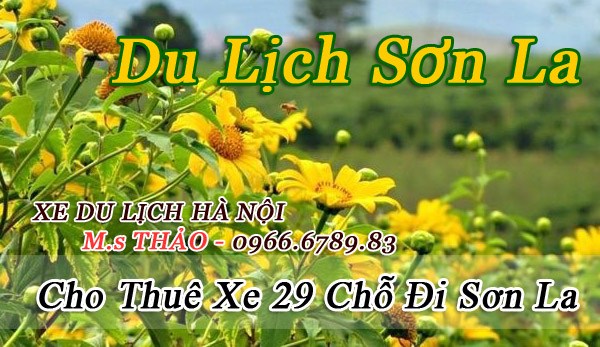product s1442