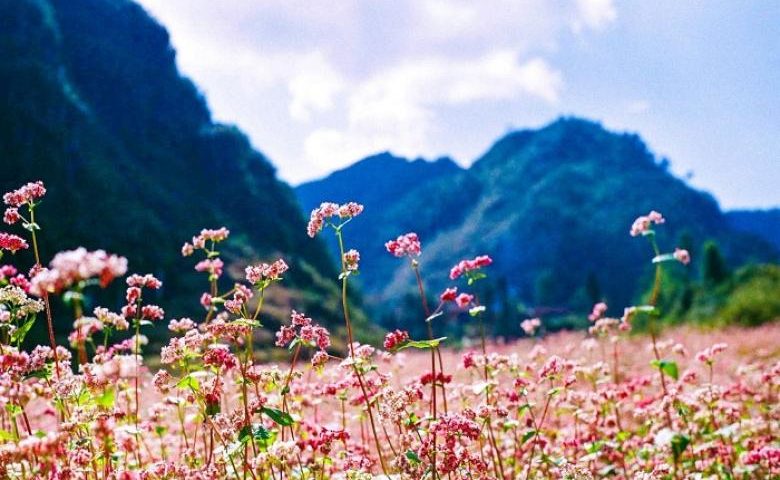 Kinh nghiệm di chuyển tại Hà Giang