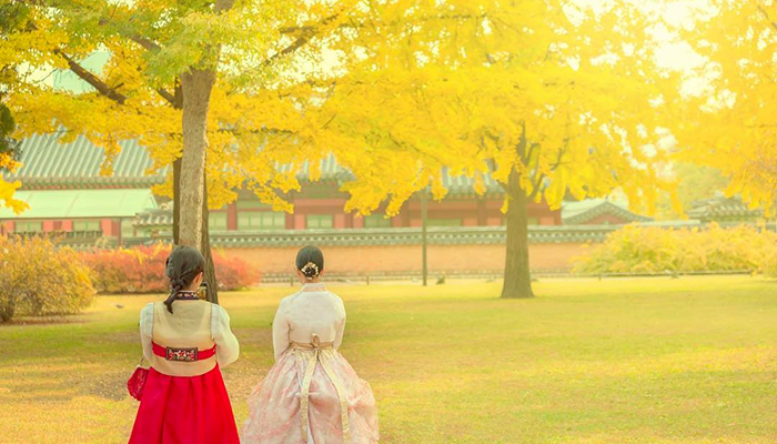 Cẩm Nang Kinh Nghiệm Du Lịch Hàn Quốc Vào Mùa Thu 3 Cẩm Nang Kinh Nghiệm Du Lịch Hàn Quốc Vào Mùa Thu , Xe Du Lịch Minh Đức