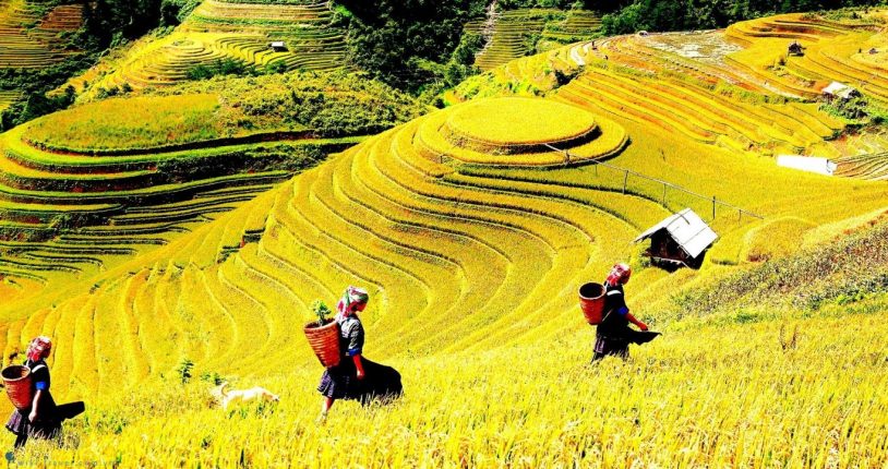 Kinh nghiệm đi du lịch Tây Bắc đầy đủ cho bạn 2 Kinh nghiệm đi du lịch Tây Bắc đầy đủ cho bạn, Xe Du Lịch Minh Đức
