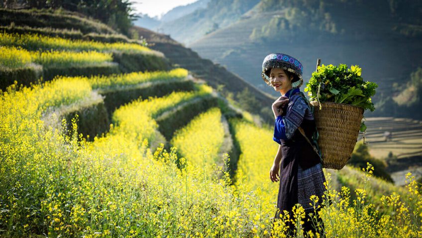 Kinh nghiệm du lịch vùng núi tây bắc